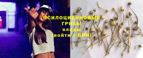 jwh Богородск