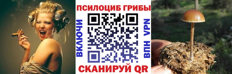 Псилоцибиновые грибы прущие грибы  shop клад  Донецк 